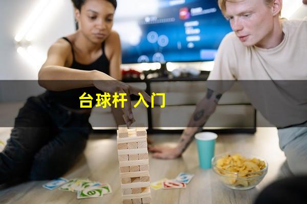 台球杆 入门
